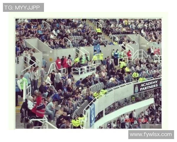 女观众在足球赛场的崛起与影响力探讨